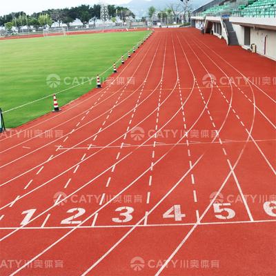 البيع الساخن المسار الجري الصديق للبيئة المنقول للمناطق التدريبية المستدامة والخضراء