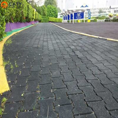 البلاط المطاطي من العظام الكلبية السهل التثبيت ومضاد الانزلاق للممرات الخارجية وممرات اللياقة البدنية